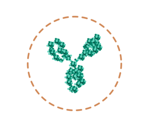 Biosimilar