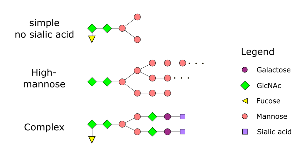 Glycosilation Patterns PTM