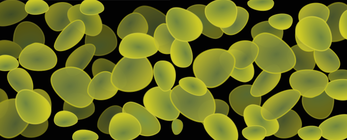 Pichia Pastoris Cells used in biotechnology