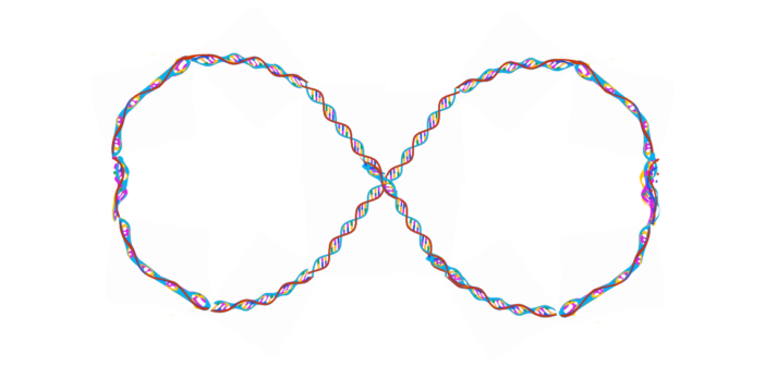 DNA Helix Immortal